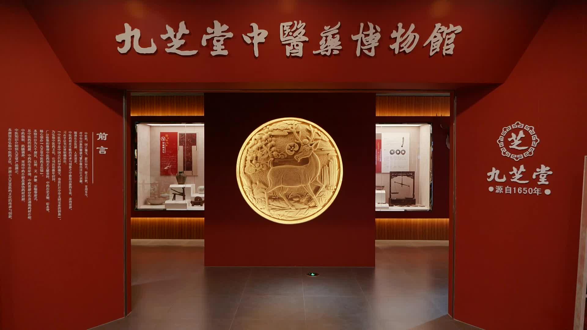 Arrival & Changsha TCM Culture